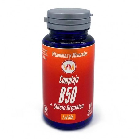 Complejo vitamina B 50 60caps Ynsadiet