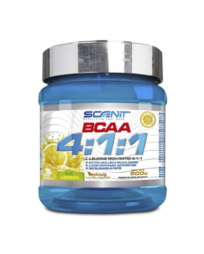 Bcaa 500gr Scenit