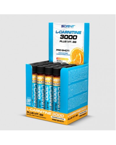Lcarnitina 3000 1 x 25ml...