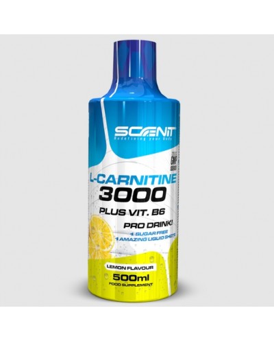 Lcarnitina 3000 500ml...