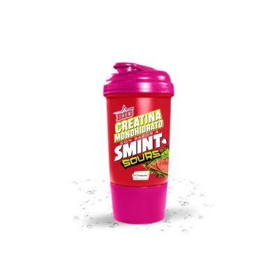Shaker Smint® Fresa 500cl Big