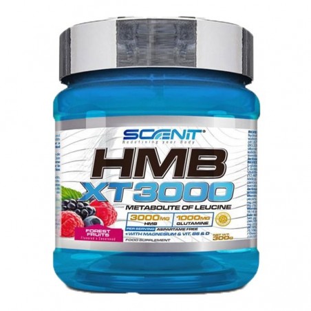 Hmb XT 3000 300gr Scenit