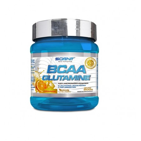 Bcaa + Glutamine 500gr Scenit